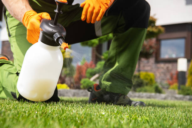 Best Pest Prevention Services  in Spring Valley, CA