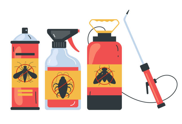 Best Cockroach Control Services  in Spring Valley, CA