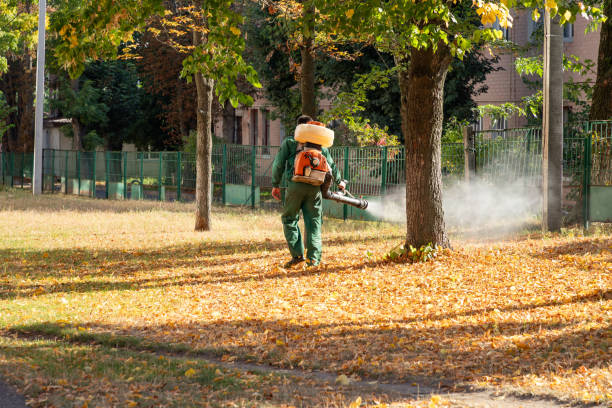 Best Bird Control  in Spring Valley, CA